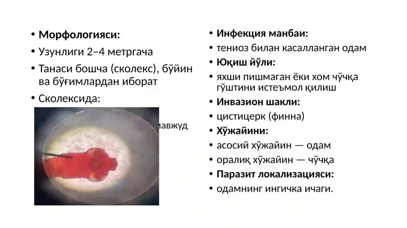 Тениоз 3