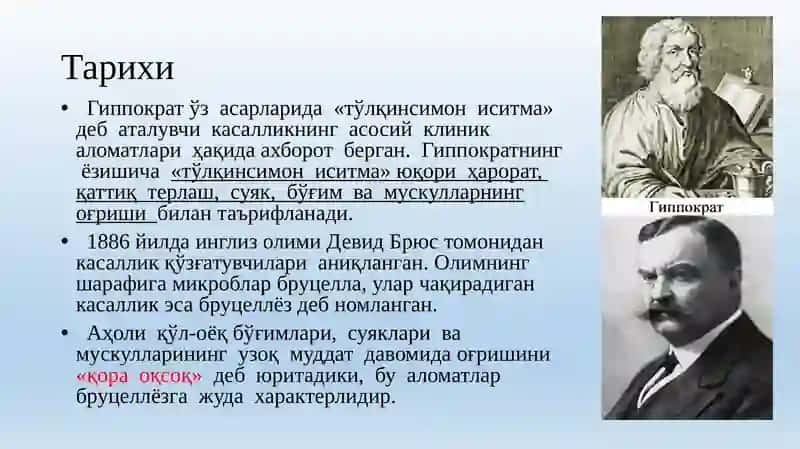 Бруцеллёз 3