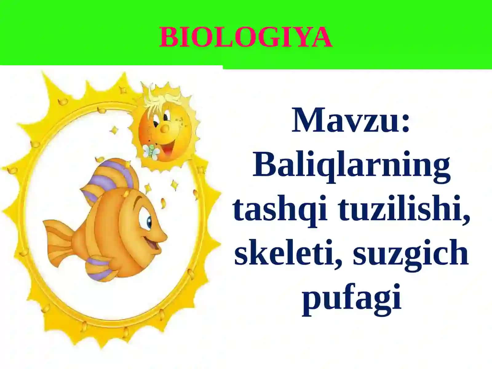 Baliqlarning tashqi tuzilishi, skeleti, suzgich pufagi 3