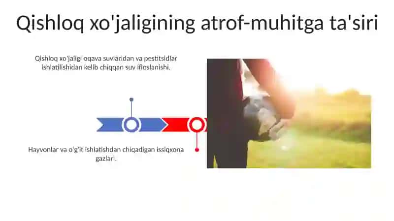 Qishloq xo'jaligining sirlari 3