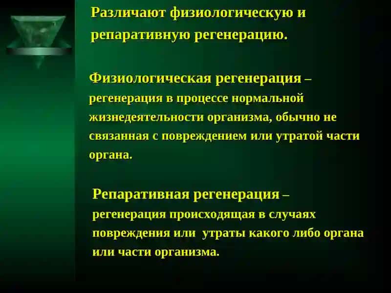 Гисталогия.1020-группа,Розиматова Юлдузхон 3
