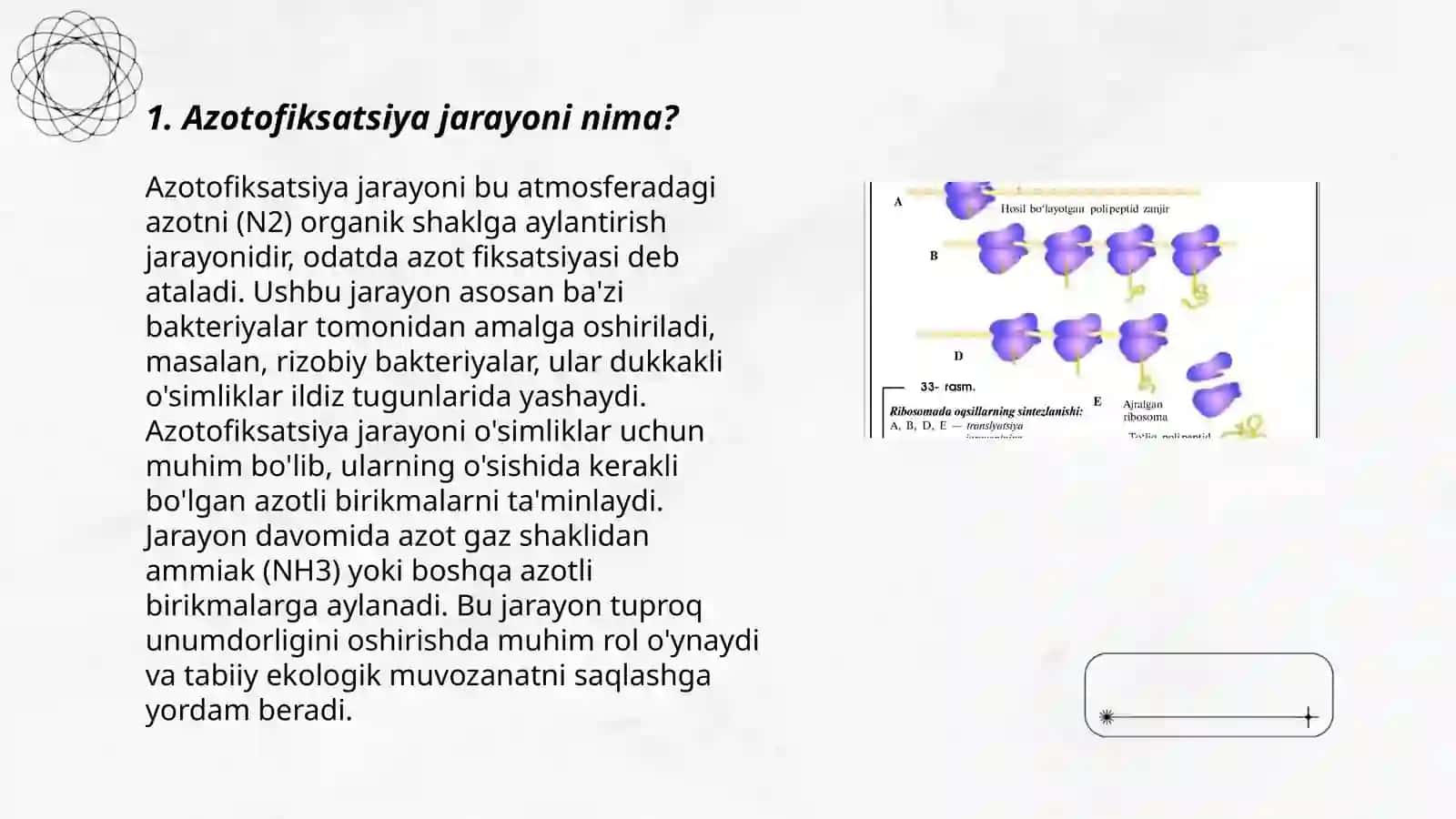 Azotofiksatsiya jarayoni va azotofiksatsiya jarayonining ximizmi bilan tanishish 3