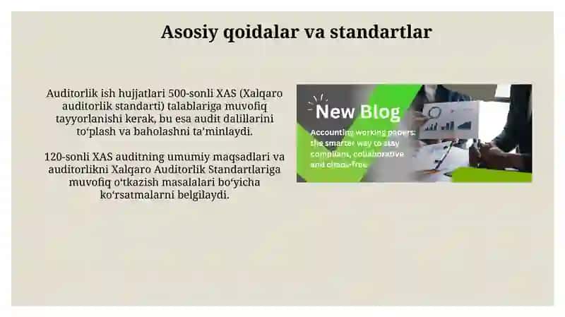 Auditorlik tashkilotining ish hujjatlari 3