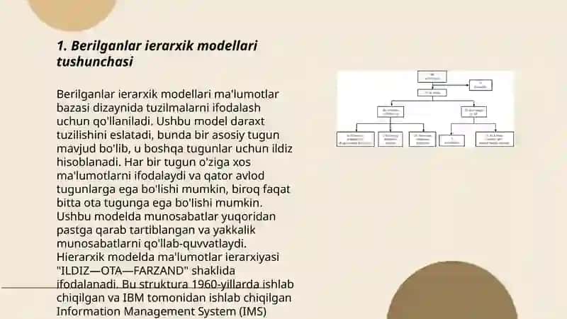 Berilganlar ierarxik modellari 3