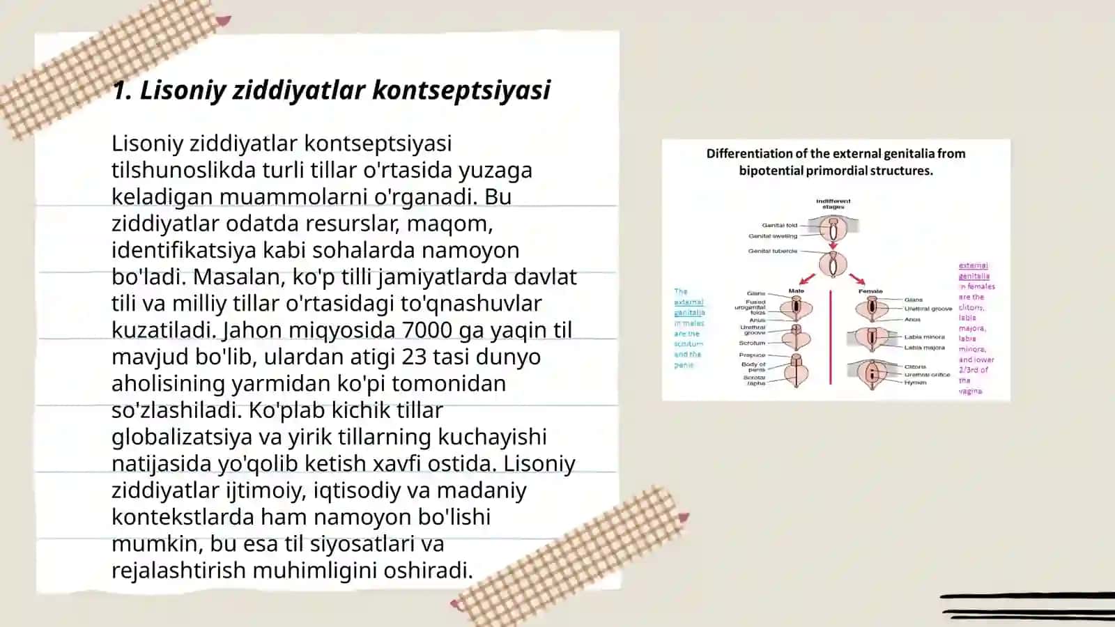 Lisoniy ziddiyatlar.Lisoniy tasnif va uning turlari 3