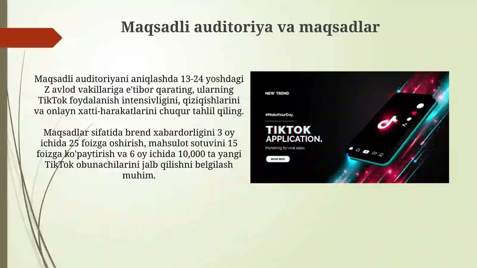 Tik tok xaqida PR strategiyasi 3