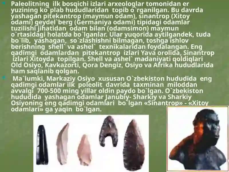 O'rtaOsiyodagi so'ngi paleolit davri ibtidoiy manzilgohlari 3