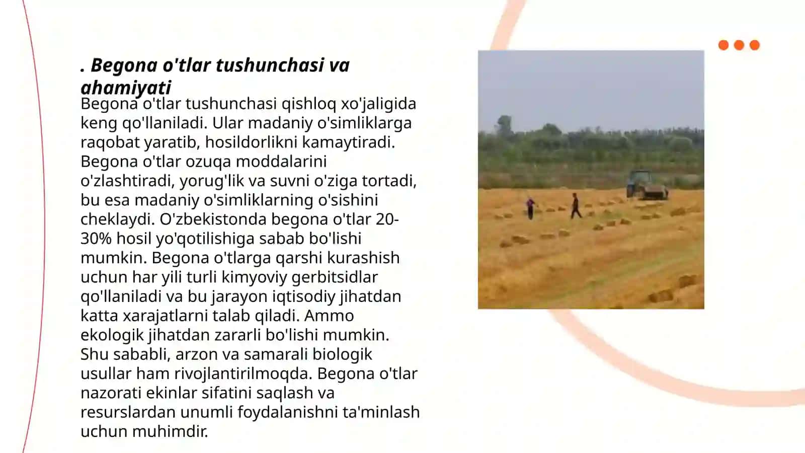 Begona o'tlar tasnifi va morfologik ko'rsatgichlari 3