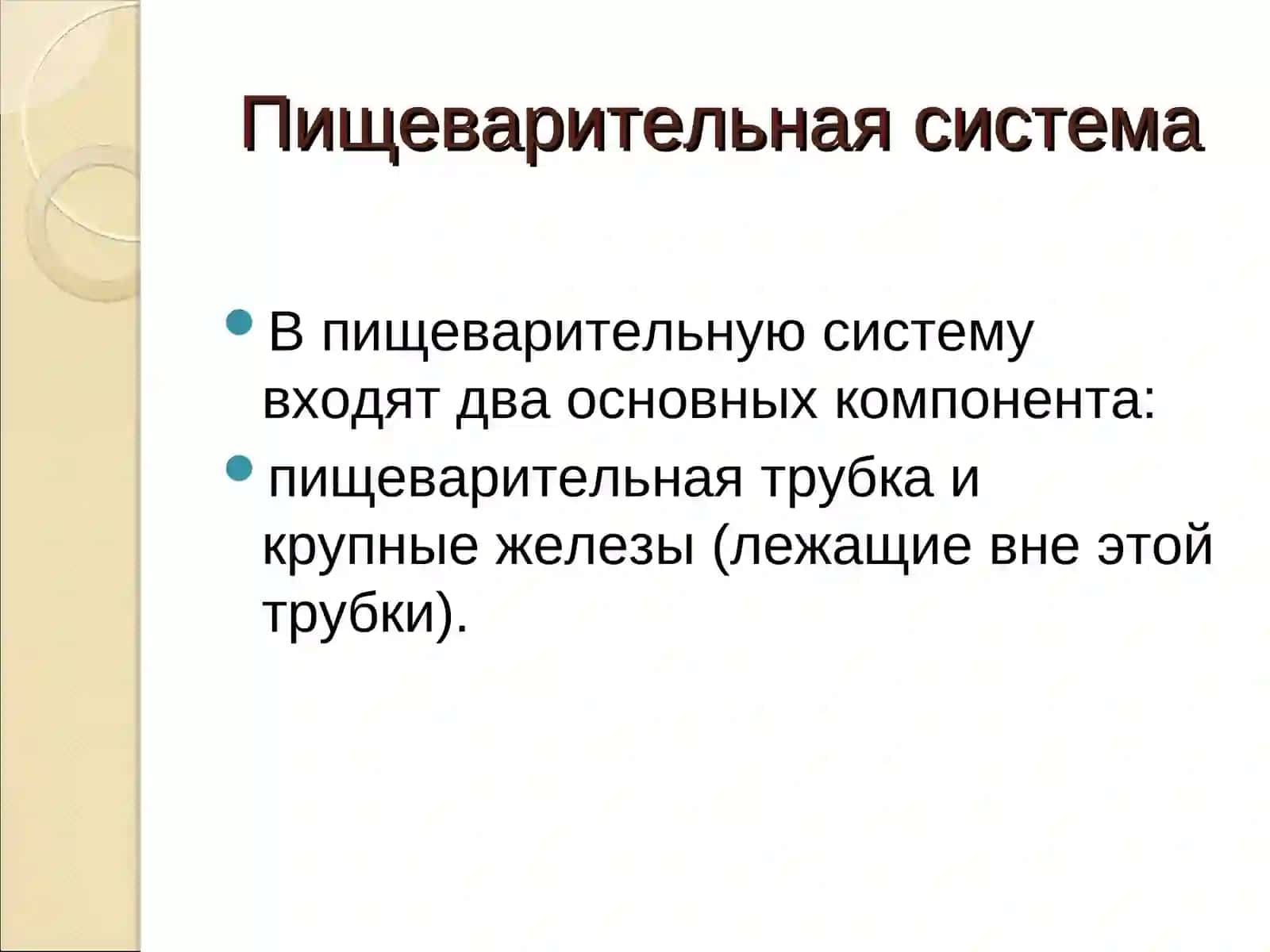 ПИЩЕВАРИТЕЛЬНАЯ СИСТЕМА 3