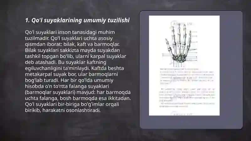 Qo'l suyaklarining tuzilishi va birikishi 3