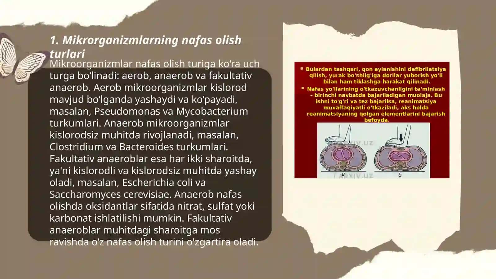 Mikroorganizmlarning nafas olishi 3