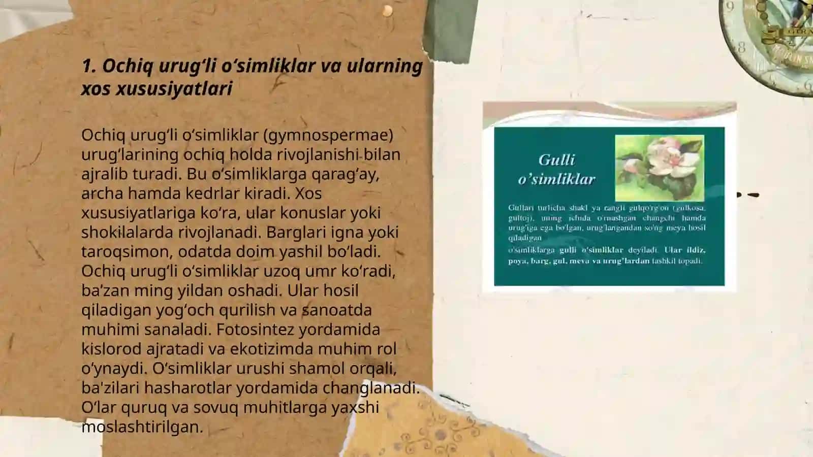 Ochiq va yopiq uruğli oʻsimliklar va ularning qishloq xoʻjaligidagi ahamiyati 3