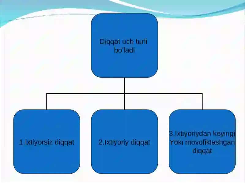 Diqqat turlari 3