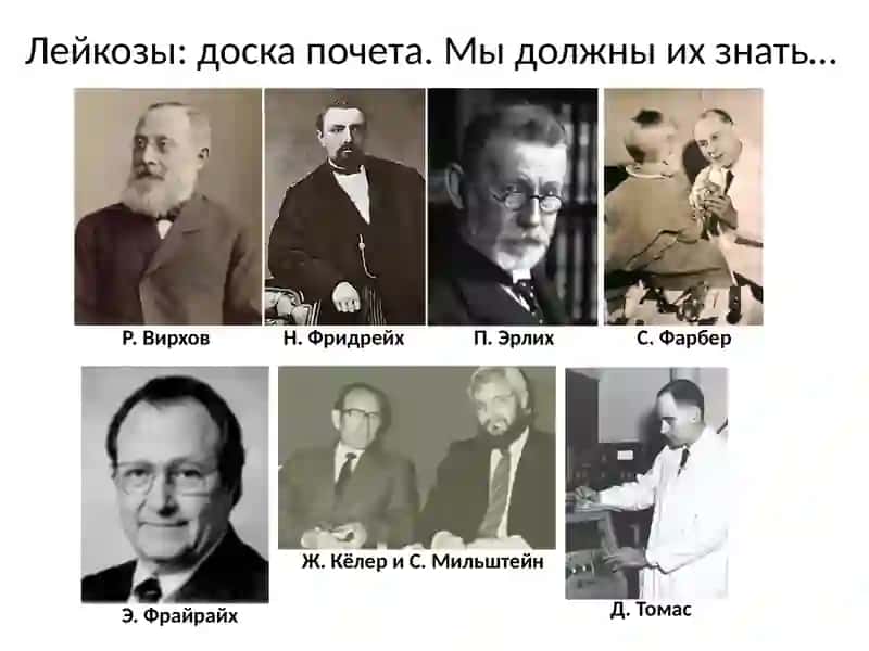 Лейкозы классификация лейкозов 3