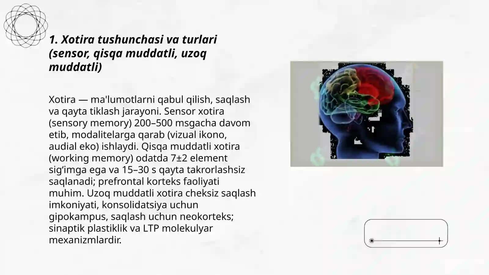 Xotira haqida tushuncha va uning nerv-fiziologik asosi 3
