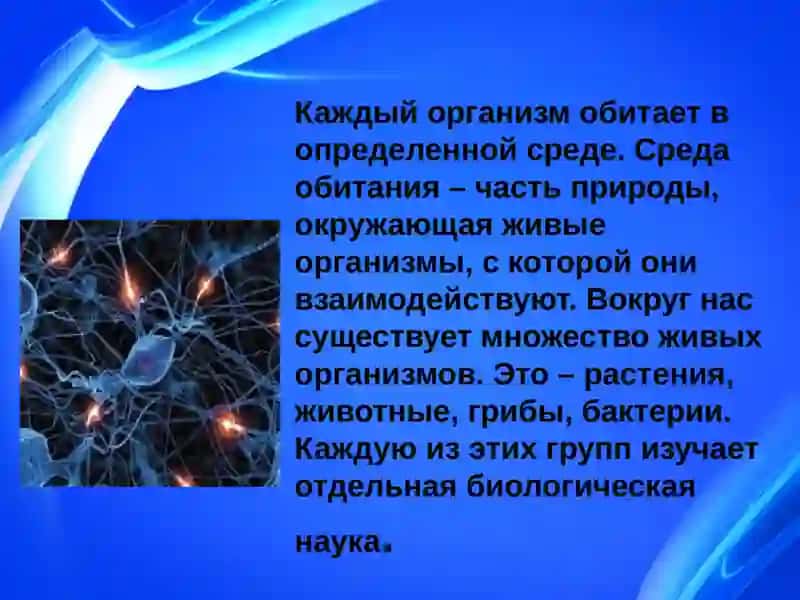 ДОСТИЖЕНИЯ И ПРОСПЕКТЫ В НАУКЕ БИОЛОГИИ ИНДИВИДУАЛЬНОГО РАЗВИТИЯ 3