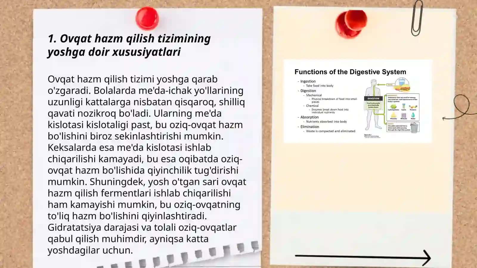 Ovqat hazm qilish va ovqatlanishning yoshga doir fiziologiyasi va gigienasi 3