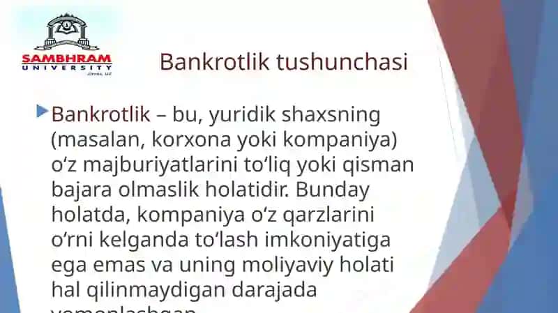 Biznesh uquqlarini subyektlarining bankrotligi 3