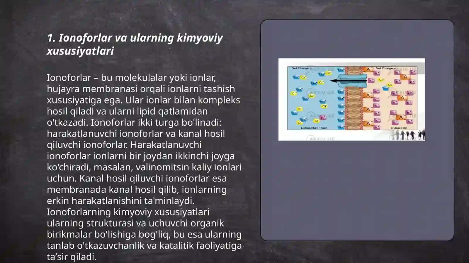 Harakatchan tashuvchilar, ionoforlar va kanal hosil qiluvchilar 3