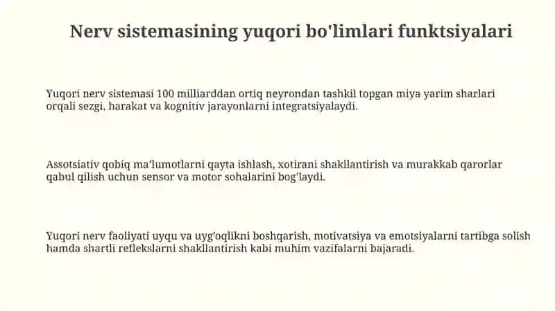 Nerv sistemasi funktsiyalari 3