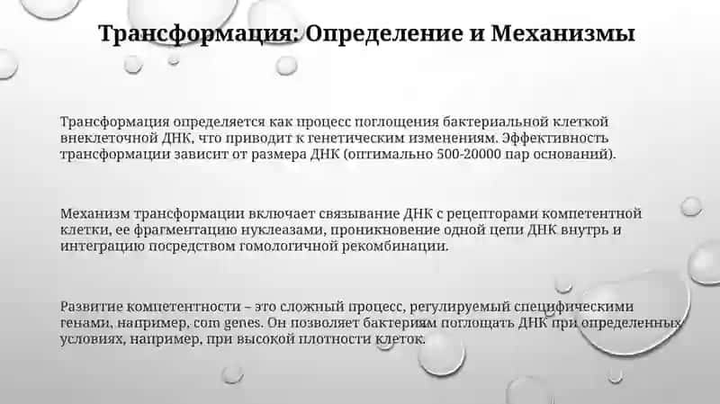 Трансформация. Трансдукция. 3