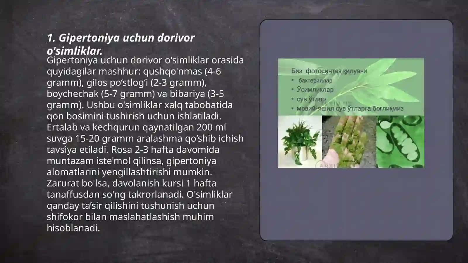 Gipertoniyada qo'llaniladigan o'simliklar va ularning fitopreparatlari 3