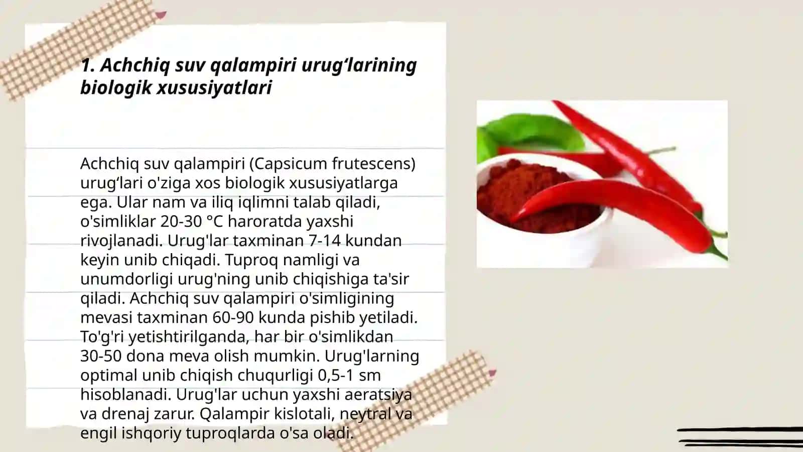 Achchiq suv qalampiri urugʻlarining biologik xususiyatlari 3