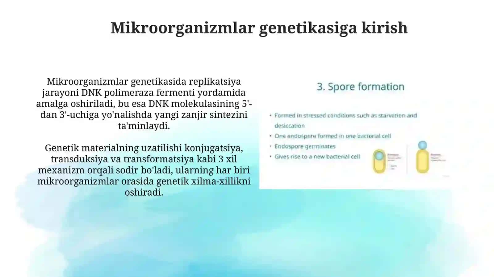 Mikroorganizmlar genetikasi, ko’payishi 3