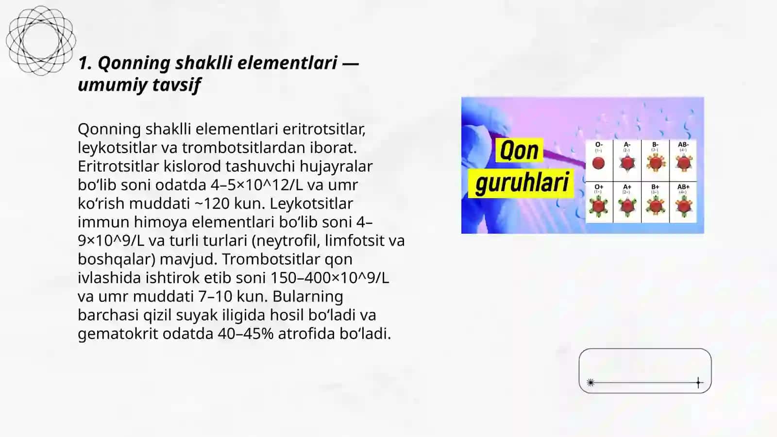 Qonning shaklli elementlari 3