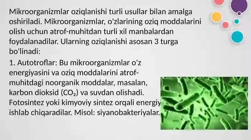 Mikroorganizmlardan zarur moddalar sintezlab olish 3