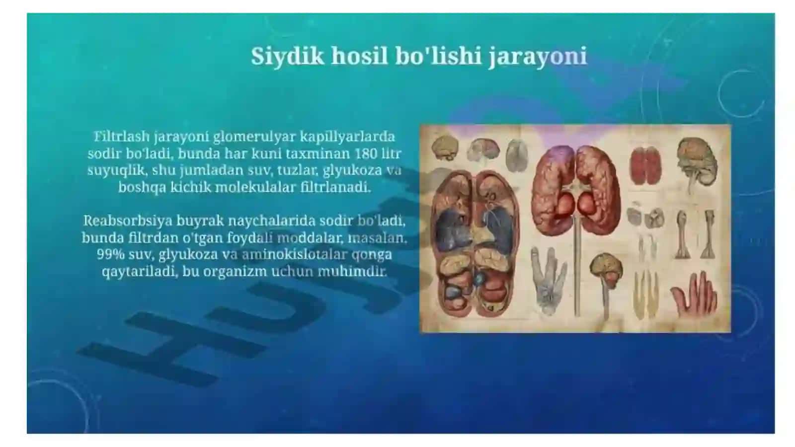 Ko'p tarmoqli tibbiyot texnikumi 3