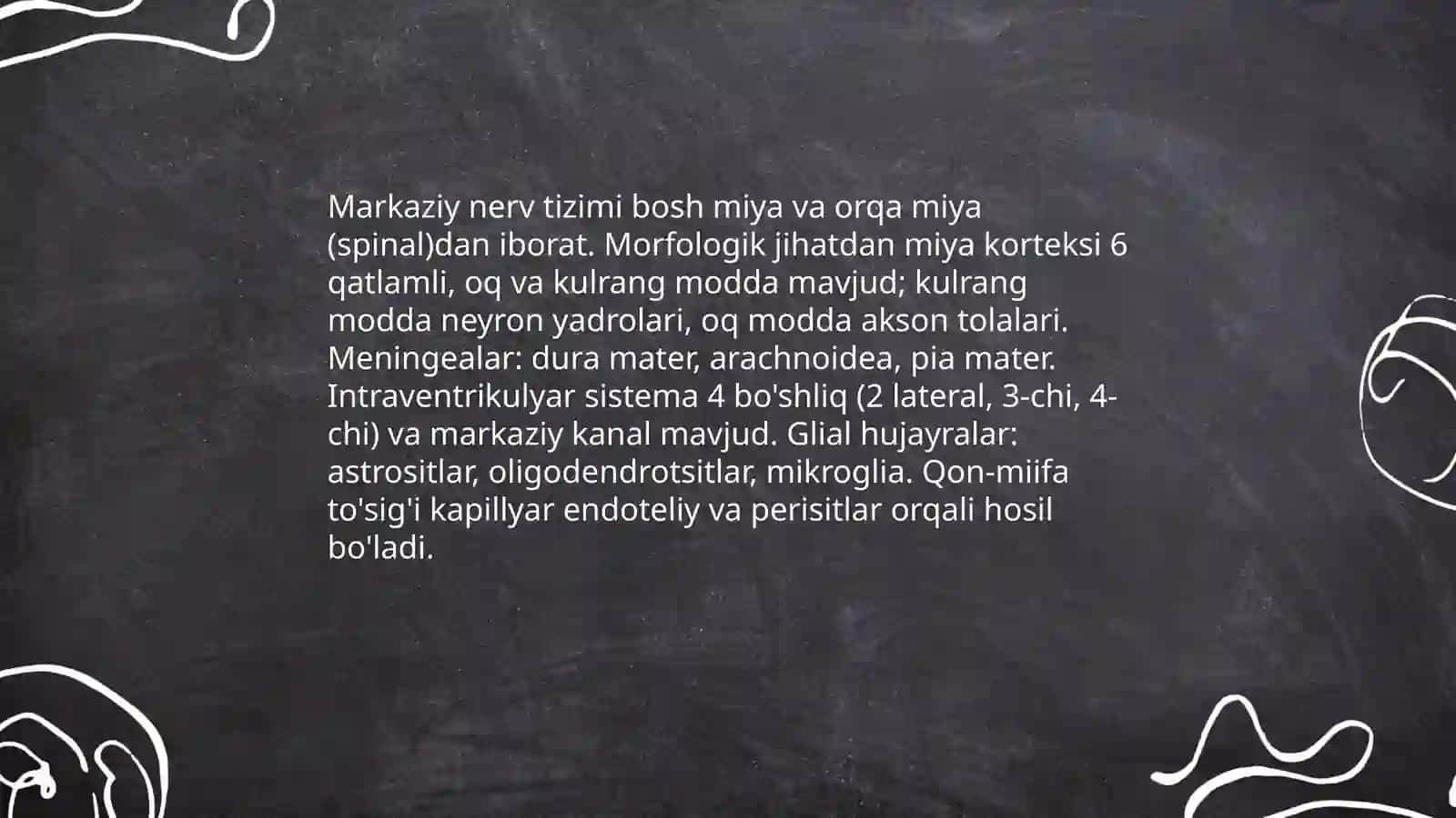 Nerv sistemasining tuzilishi markaziy nerv sestemasi 3