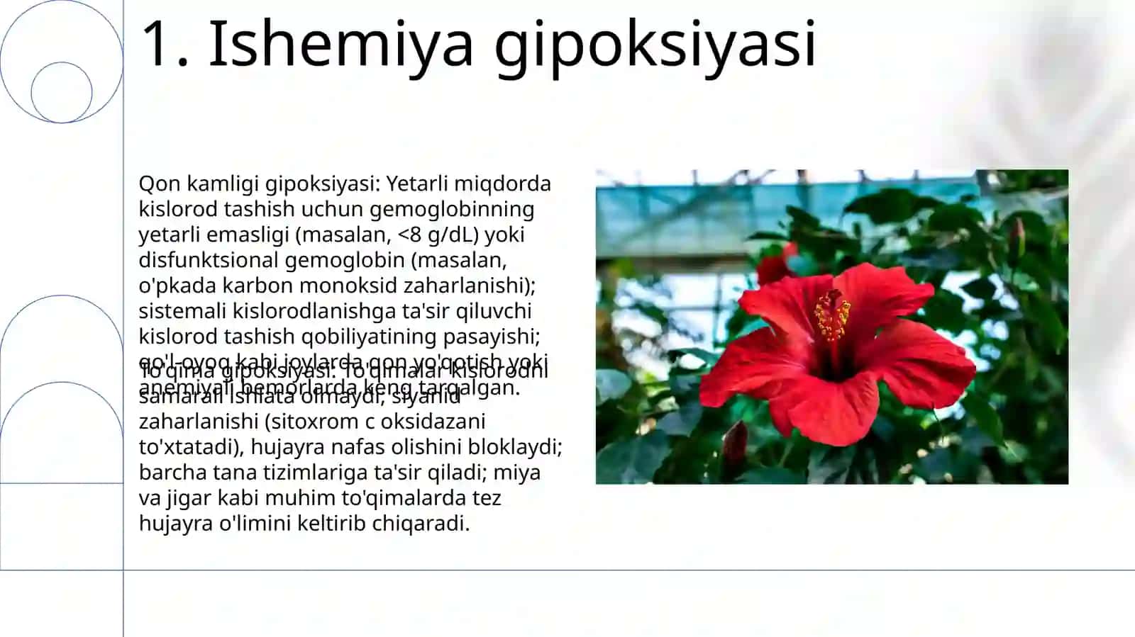 Gipoksiya turlari 3