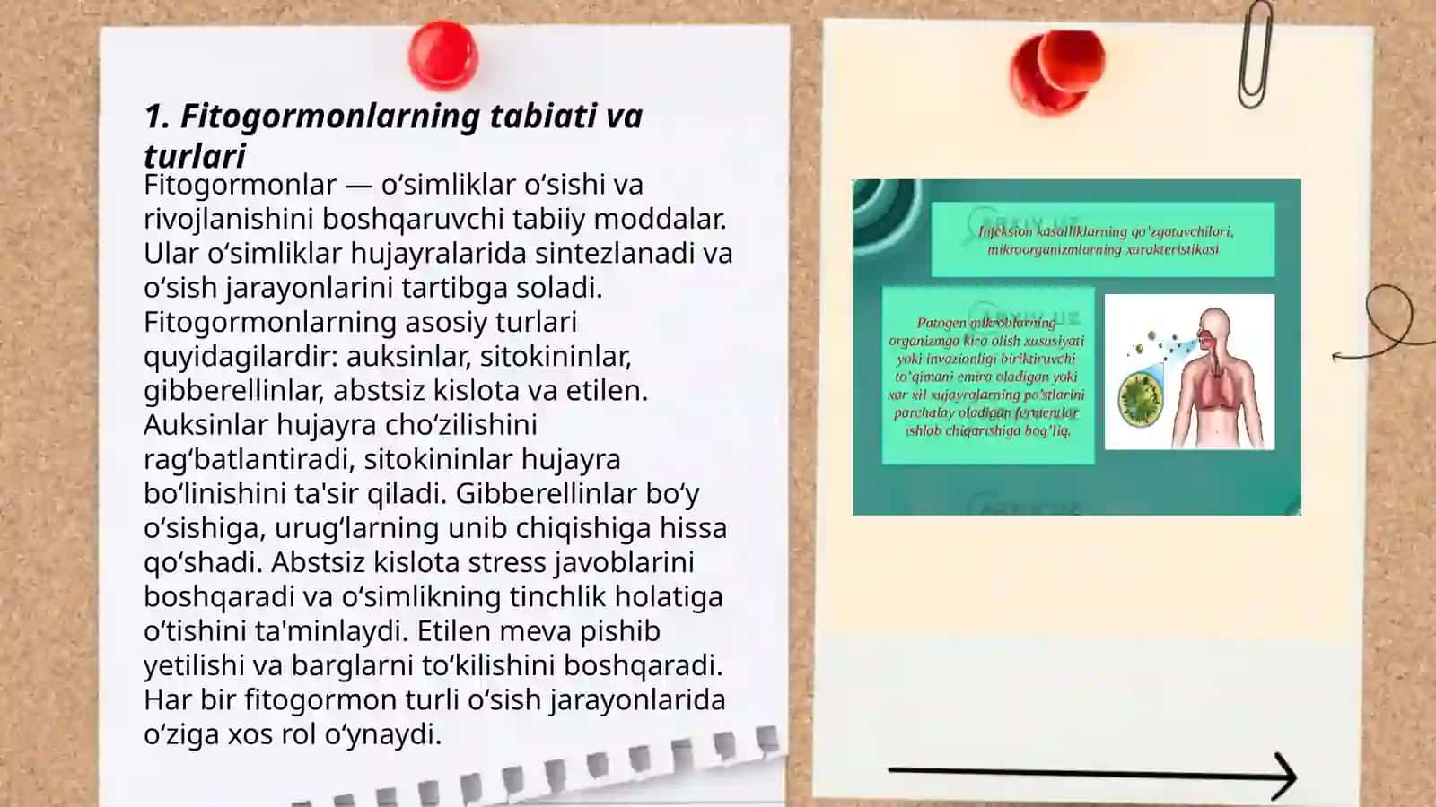 Fitogarmonlar va fitorigulyatorlar olishning biyotexlonogig usullari 3