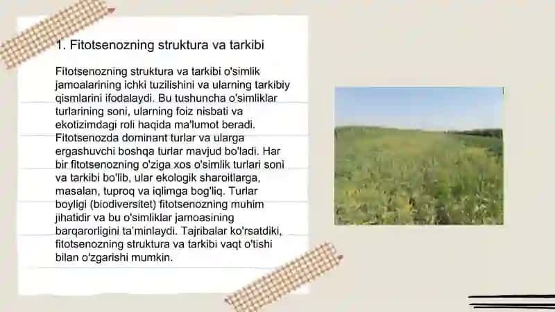 Fitotsenozning belgilari va xossalari. Sinmorfologiya 3