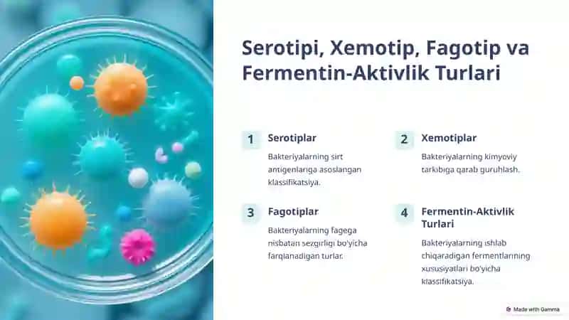 Bakteriyalarni Klassifikatsiyasi: Tur Ichidagi Variantlar 3