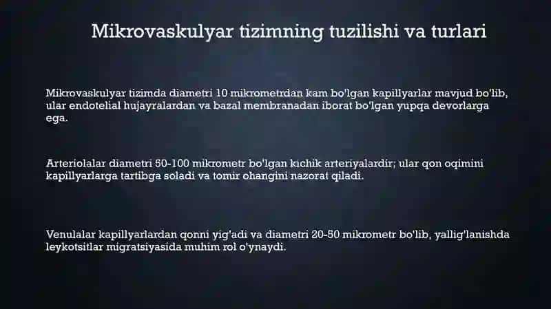 Kattakichik qontomirlar itizimi 3