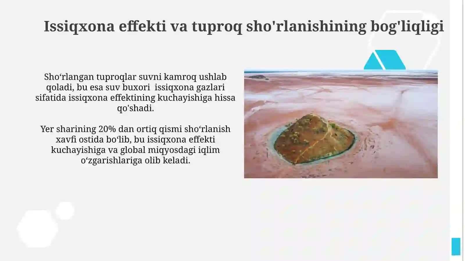 Issiqxona samarasi,Ozon qatlami, chollanish va shoʼrlanish 3