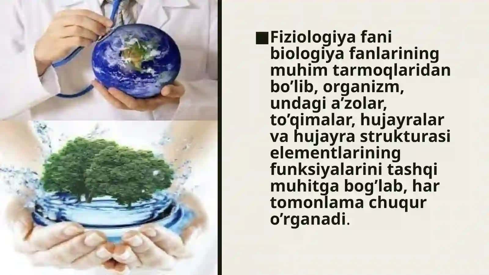 Yosh anatomiyasi va fiziologiyasi Bolalarda o’sish va rivojlanish. 3