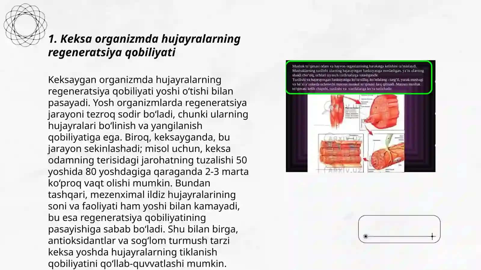 Keksa Organizmning Fiziologik Xususiyatlari 3
