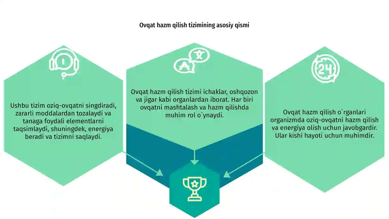 Ovqat hazm qilish o`rganlari va ularning funksiyalari 3