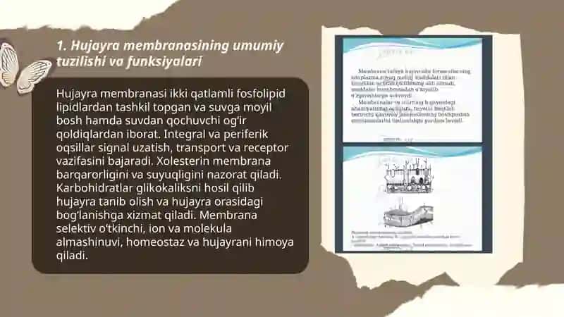 Hujayra membranasi va uning nozik tuzilishi 3