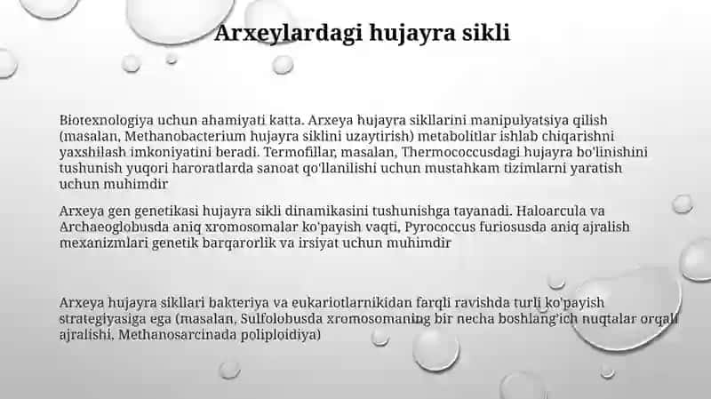 Hujayra sikli va uning mohiyati Mikroorganizmlar genetikasi 3