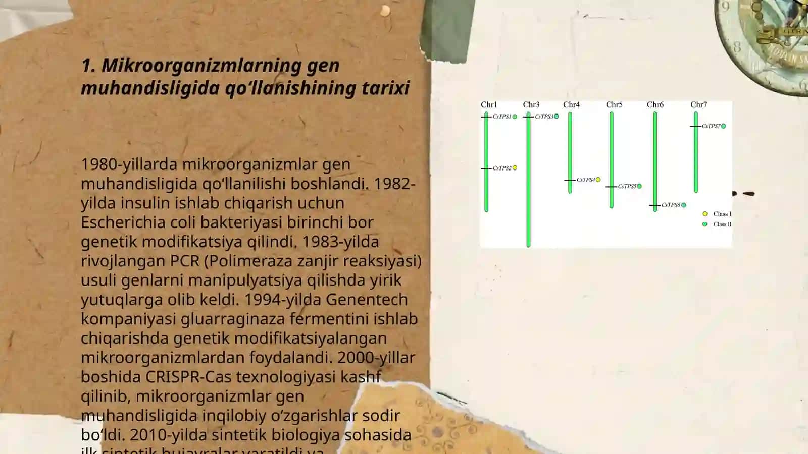 Mikroorganizmlarning gen muhamdisligida qoʻllanishi 3