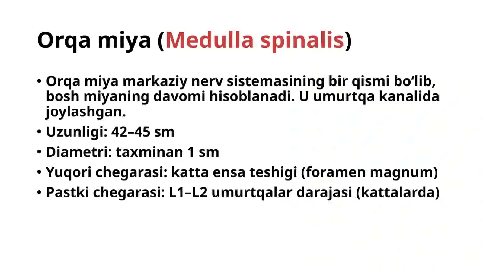 Orqa miya segmentlari va qavatlari. MRTda anatomik ko'rinishi Spina  morfologiyasi 3