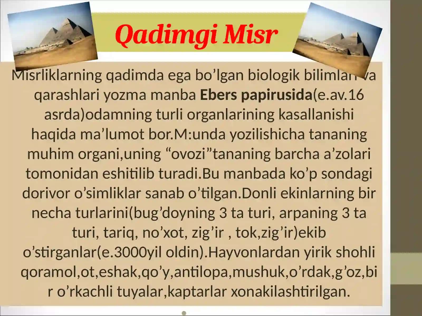 Tabiat haqidagi ilk tasavvurlarning shakllanishi 3