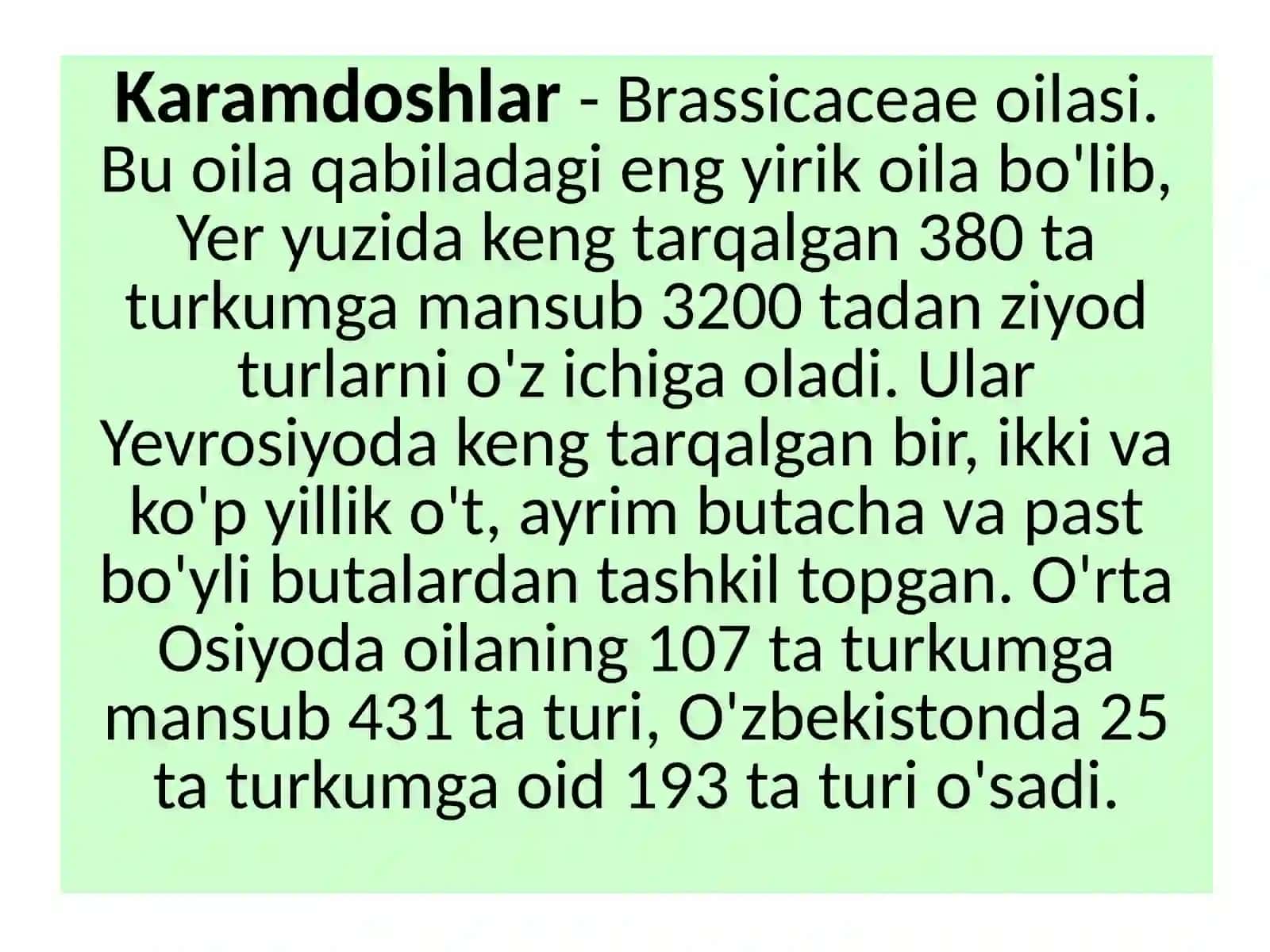 Karamdoshlar(Brassicaceae) oilasi turkumita turi 3