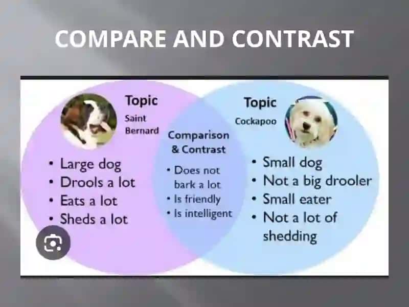 Compare and contrast essey types 3