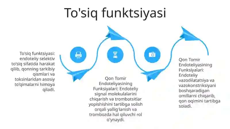Qon Tomir Endoteliyasining Funktsiyalari 3