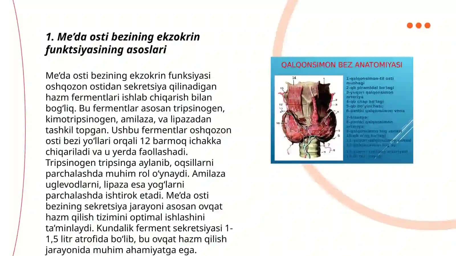 Me’da osti bezining ekzokrin funktsiyasining asoslari 3